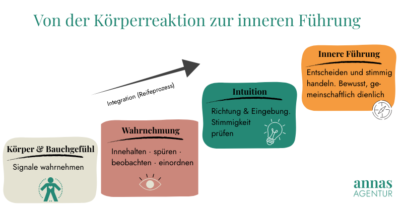Visualisierung eines Reifeprozesses: von Körperreaktion und Bauchgefühl über Wahrnehmung und Intuition hin zu innerer Orientierung und Handlung