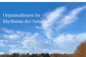 Wolkenformation am Himmel, die an einen Phönix erinnert – Symbolbild für Wandel und naturzyklische Organisationsentwicklung.